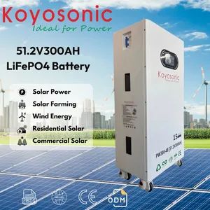Home Energy Storage Battery 51 2V 300ah LiFePO4 Lithium Battery Pack with Smart BMS - Koyosonic Power Co., Ltd. - China