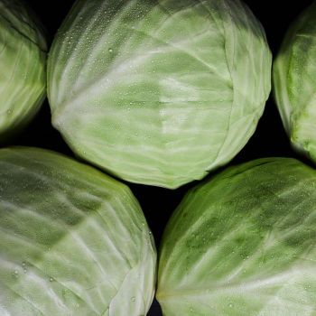 Fresh Cabbage Weight 10 Kg Size 1~1.5kg Texture Crisp Grade Top Grade Content Cabbage Storage Type Cool Ingredients Cabbage - ABOLLEJI SIA - Latvia