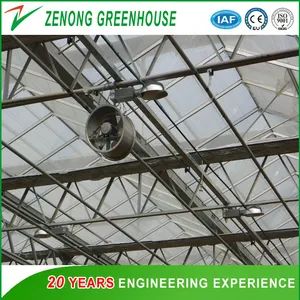Greenhouse Circulating Fan for Greenhouse Ventilation - Shouguang Zenong Greenhouse Engineering Co., Ltd. - China