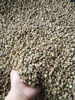 Green coffee FINE ROBUSTA G1  & ROBUSTA G1 - PT Trusted Global Trade - Indonesia