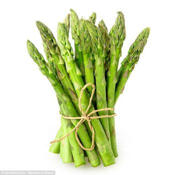 Fresh Asparagus Grade A OEM Available Customized Size Weight Package from Thailand Organic Premium Product s - THAI MART INTERTRADE - Thailand