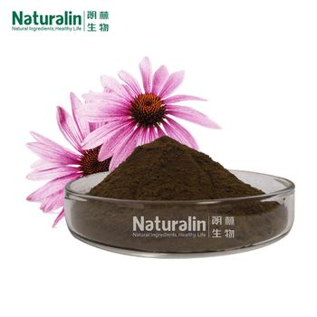 Echinacea Extract - Naturalin Bio-Resources Co , Ltd - China
