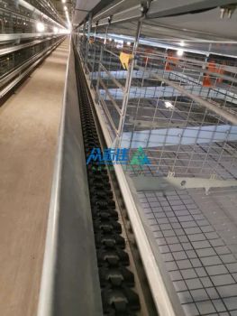 Cheap Price Automatic Galvanized Battery Poultry Farm Layer Cage for Laying Hens Egg Chicken - Qingdao Zhongzhijia Husbandry Machinery Co., Ltd. - China