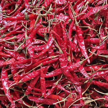DRY RED CHILLIES ( TEJA S17) - K.K ENTERPRISES - India