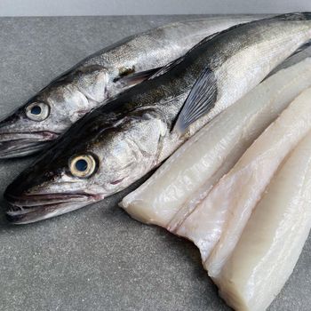 Fresh Hake Carefully Sorted Seafood Delivering Uniform Size Excellent Fresh Condition And Reliable Supply - TOSOH INTERNATIONAL - South Africa