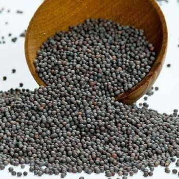 Premium Mustard Seeds Hs Code 1205.10 Admixture ≤ 1.0% Oil Content ≥ 42% Foreign Matter ≤ 2.0% Protein Content 20–24% Erucic Acid Level ≤ - BF GLOBAL TRADING (PTY) LTD - South Africa