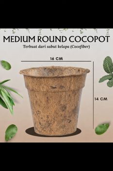 Coconut Coir Plant Pot - Coco Source Indonesia - Indonesia