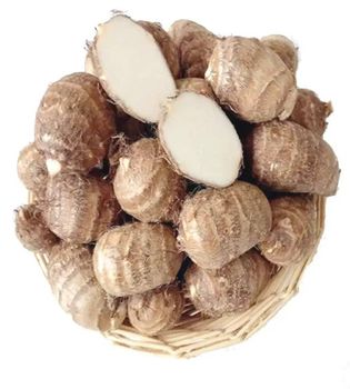 High Quality New Chinese Taro Root Factory Supply Fresh Vegetables Fresh and Air Dried Taro Frozen Taro for Sale - AL JABLI TRADING COMPANY LIMITED - Tanzania