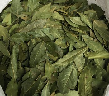Dried Egyptian Bay Leaves - NUTRIDIET LDA - United Kingdom