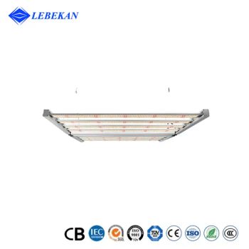 Hydroponic Grow Lights Light Full Spectrum Grow Light Longood Full Spectrum 600W 800W 1000W LED Grow Plant Lights - Hubei LiBaiChang Technology Co., Ltd. - China