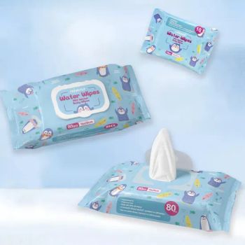 Biodegradable Nonwoven Pure Water Baby Wipe - Ningbo Riway Industrial Co., Ltd. - China