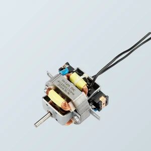 Innovative Hair-Drying Motor for Luxurious, Healthy Hair Finish - Susong Yihao Electric Motor Co., Ltd. - China