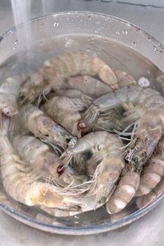 Farm Fresh Frozen Whole Vannamei Shrimp Premium Quality Seafood Ready For Retail Distribution Food Service - CPW TRADE LTD - United Kingdom