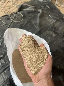 organic whitish sesame - THEREZAGLOBE HK - United States