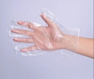 Protective Gloves Powder Free/Powdered PVC Glove Disposable Gloves Food Serviece - Anhui Guohong Industrial and Trading Co., Ltd. - China