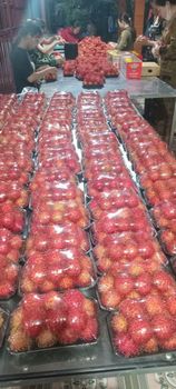 Fresh Rambutan Flavor Naturally Sweet Color Vibrant Red Skin Harvesting Method Hand-picked Standards Vietgap Or Globalg.a.p - VINAFACTORY EXPORT CO., LTD - Vietnam