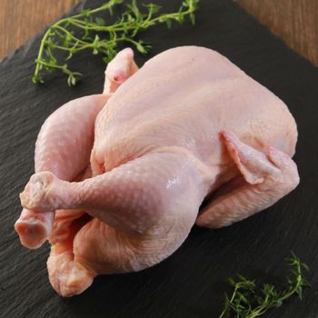 Quality Grade a Halal IQF Frozen Whole Chicken-Trans-Fat Free 2 Year Shelf Life - CPW TRADE LTD - United Kingdom