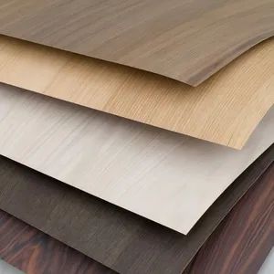Pre-Finished Decorative Laminated PVC Pet Films for Wall Panel - Jiaxing Rayto New Material Co., Ltd - China