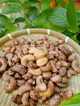 [Fresh/Roasted] CASHEW NUT (With/Without) Shells WITH HIGH QUALITY AND BEST PRICE