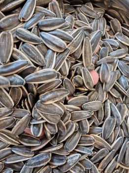 sunflower seeds & kernels - 赛罕区人民路嗨渡咪文化传媒室（个体工商户） - China