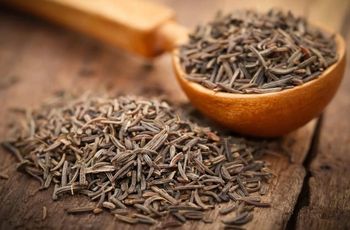 Caraway Seeds (Carum Carvi) - Green Alliance Company - Egypt