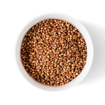Wholesale sorghum grains bulk stock with assured quality supply from HIGHPROFILE AGRICULTURE SERVICES LIMITED Wholesale sorghum grains bulk stock with assured quality supply - HIGHPROFILE AGRICULTURE SERVICES LIMITED - Tanzania