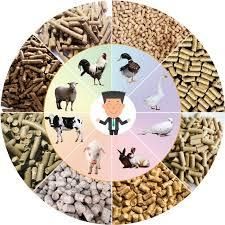 Animal Feed Intended Use Nutritious, High-protein Feed For Poultry, Cattle, And Aquaculture Developed For Optimal Growth And - Mercury Nexus Global - India