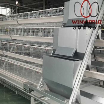 Autmatic Poultry Farming Equipment Machinery Chicken Coop for Layers - Henan Winworld Livestock Machinery Co., Ltd. - China