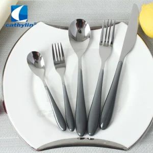 Dishwasher Safety Inox Plastic Handle Cutlery Sets for Home Restaurant - Wenzhou Cathylin International Trade Co., Ltd. - China
