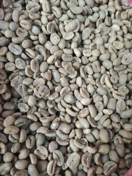 Robusta and Arabica cooffebeans - PT Cipta Tunggal Agronusa - Indonesia