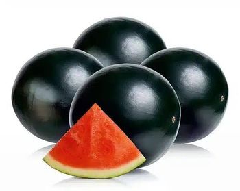 Fresh Watermelon - Agroex Consultancy - Uzbekistan