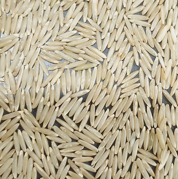 Super Brown Basmati Rice – Premium Long Grain | Pesticide-Free | MRL Compliant | Origin Pakistan - Amir Rice Mills (Pvt.) Ltd - Pakistan