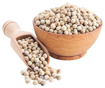 Agriculture, Food & Beverage – product photo, Food Beverage products found from trusted suppliers, wholesalers, manufacturers & exporters Listing