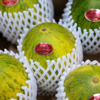 Fresh Japanese Papaya Melon Style Fresh Address Hyogo, Japan Place of Origin Japan Shelf Life A few days Content Fresh Papaya - ASIA-PACIFIC PRODUCE CO., LTD. - Japan