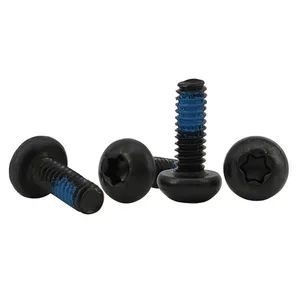 304 Stainless Steel Pan Head Socket Cap Screws with Anti-Loosen Glue - Haiyan Lewei Hardware & Tool Co., Ltd. - China