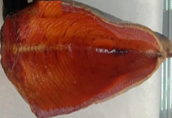 Cold smoked trout balyk 1 kg + gutted wu for 1 kg - MAXIFISH LLC - Lithuania