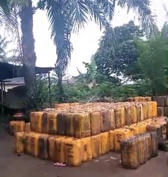 Raw palm oil - Praise agric - Nigeria