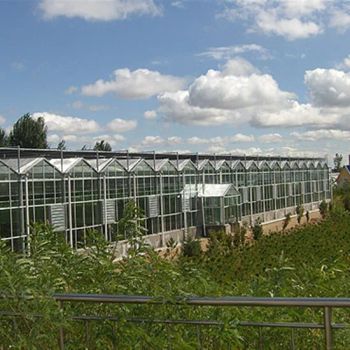 Professional Design Aluminum Greenhouse for Gardens Glass Greenhouse - Weifang Sainpoly Greenhouse Equipment Co., Ltd. - China