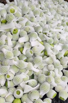 frozen fruit pulp Texture Frozen Pulp Flavor Natural Taste And Aroma Of Fresh Fruits Shelf Life Extended Without Compromising Flavor Or - ezaz - India