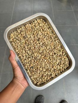 Green Bean Coffee Robusta Grade 2 – product photo, Roasted Robusta Coffee products found from trusted suppliers, wholesalers, manufacturers & exporters Listing