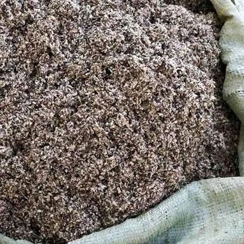 Cotton seed hulls - RAMHARSH INTERNATIONAL - India
