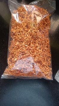 Cordycep Militaries Form Dried Moisture Content Below 5% Minimum Order Quantity 10 Kg Purity 100% Natural, - PeakMettle - India