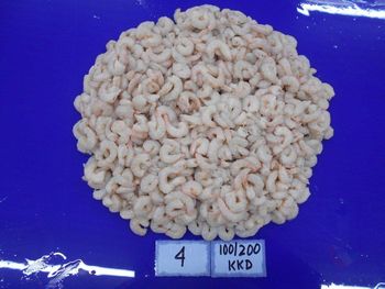 PUD shrimps from amigoseafood co PUD shrimps - amigoseafood co - India