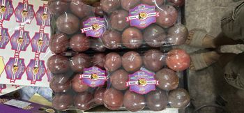 Fresh Mango, passion fruits, red chilli, longan, dragon, wax apple, jackfruit meat, coconut, pomelo,... - DTL IEAT CO.,LTD - Vietnam