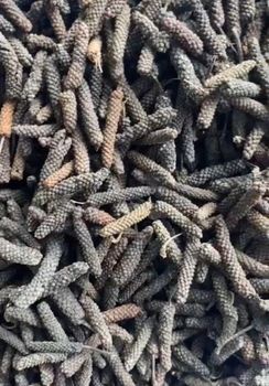 Long Pepper Origin Indonesia (java) Packaging Boxes Of 5 Kilograms Moisture Content Less Than - PT SENOPATI MANUNGGAL KOMODITI - Indonesia