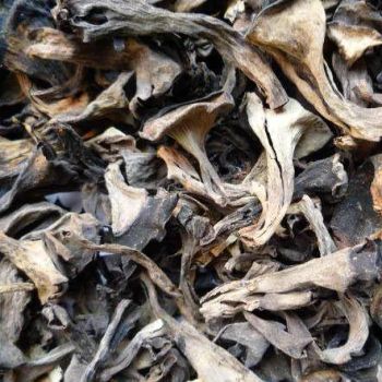 China Dried Black Trumpet Mushroom Trumpet of Death Craterellus Cornucopioides - Ruiqiu Foods Co., Ltd. - China
