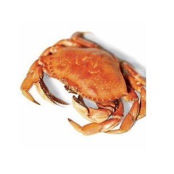 Bulk supply Live Red King Crab wholesale affordable price fresh live crab - Medcompex Gmbh - United Kingdom