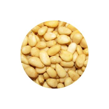Selected Premium Pine Nuts Bulk Distribution Pine Nuts For Food Factories Bakeries And Healthy Ingredient Supply Chains - THE GREEN INTERNATIONAL LIMITED - Tanzania