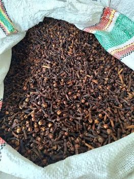 Whole Forest Cloves from PT. TIGA INSAN SEJATI +6287882380434 Whole Forest Cloves - PT. TIGA INSAN SEJATI +6287882380434 - Indonesia