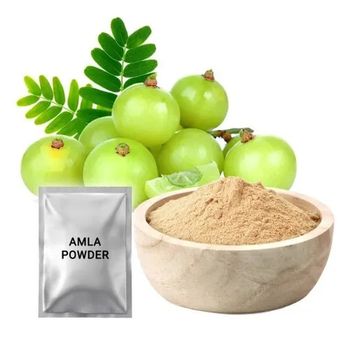 Dry Amla Powder - SHREE SAI BIOTECH - India